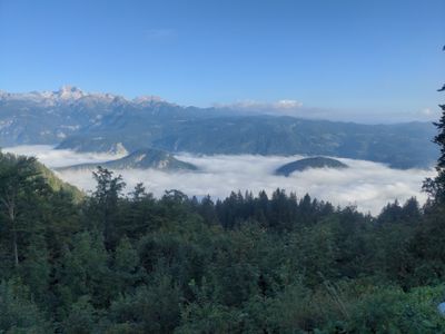 A photo of cloud inversion on top of a lush forest illustrating the lower parts of the trail